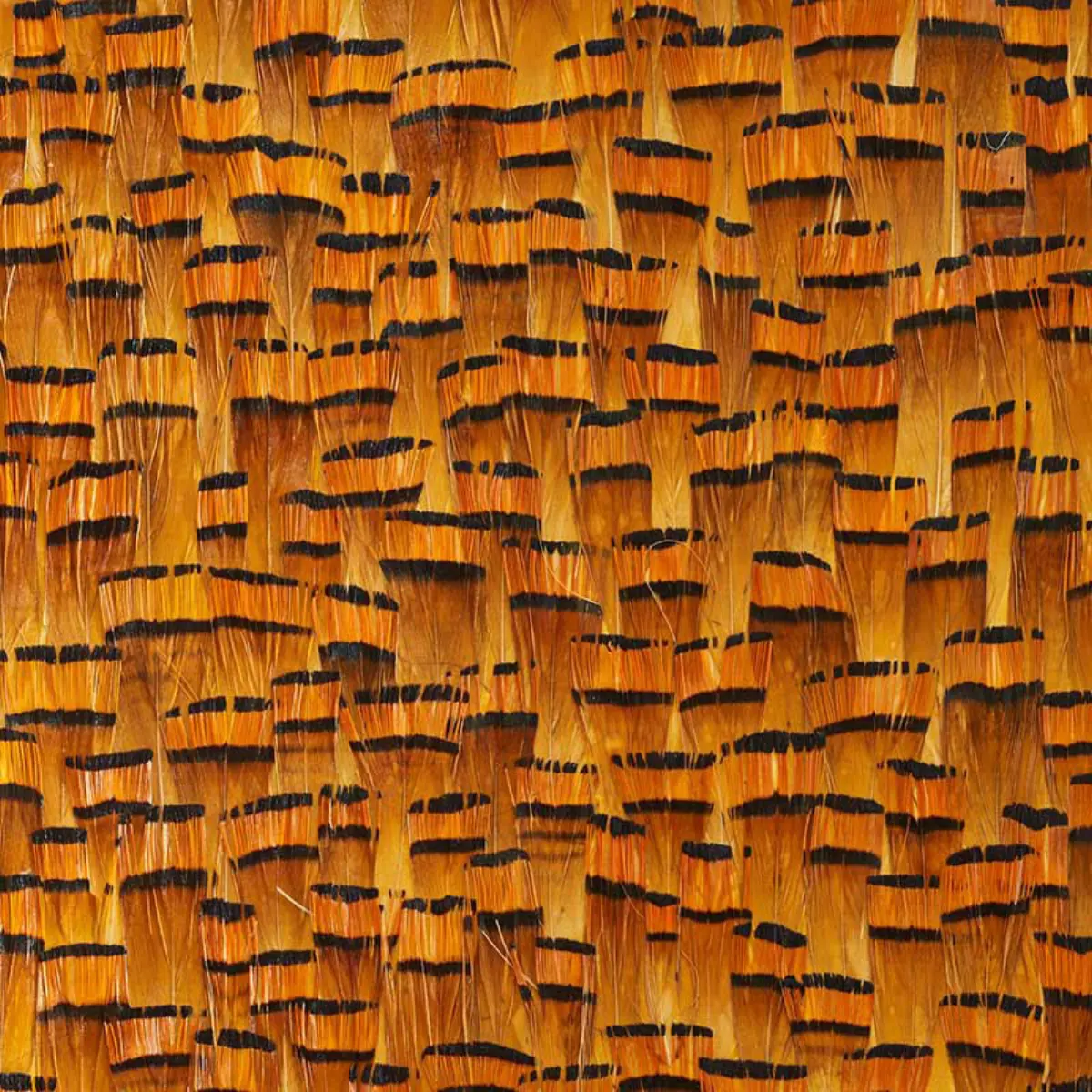 BAUXITE_ GOLDENROD