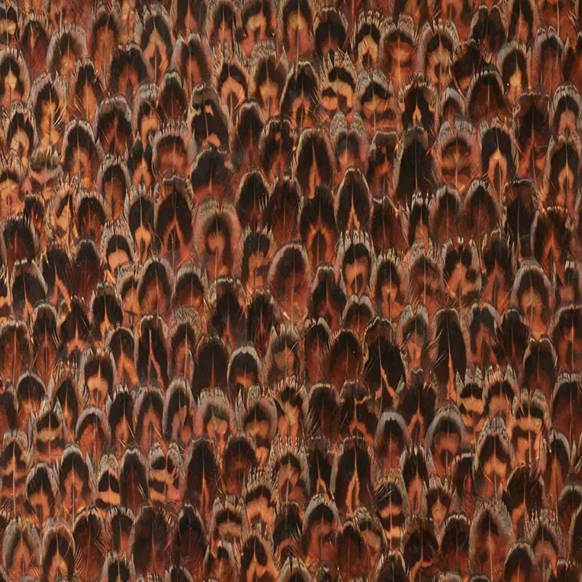 AGATE_ CHESTNUT