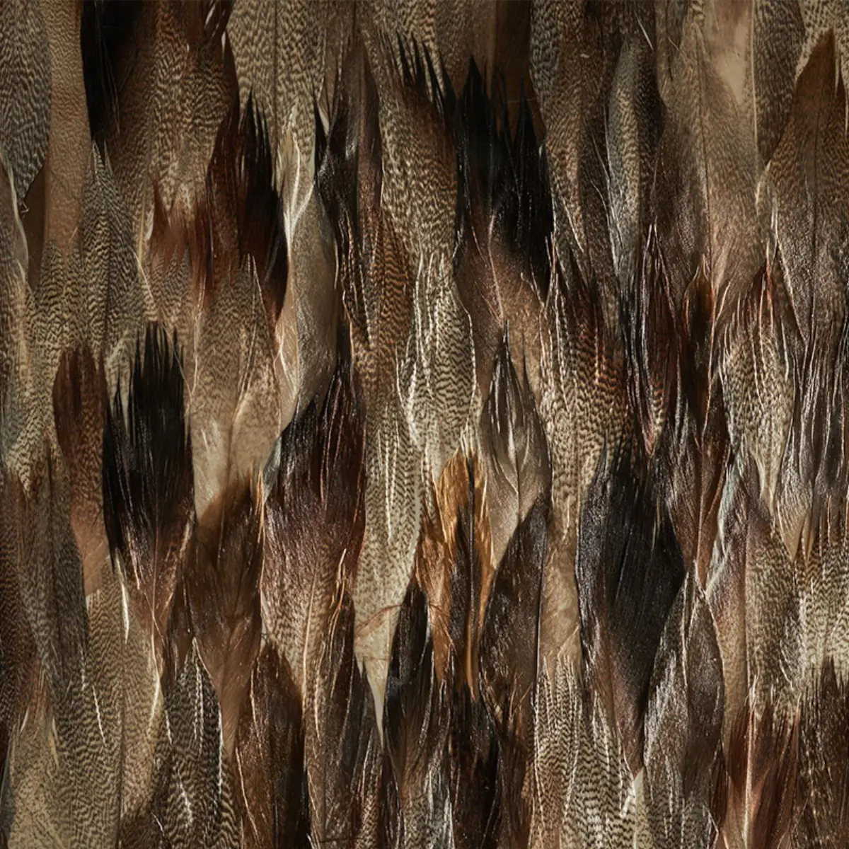 IRIDIUM_ TAIL
