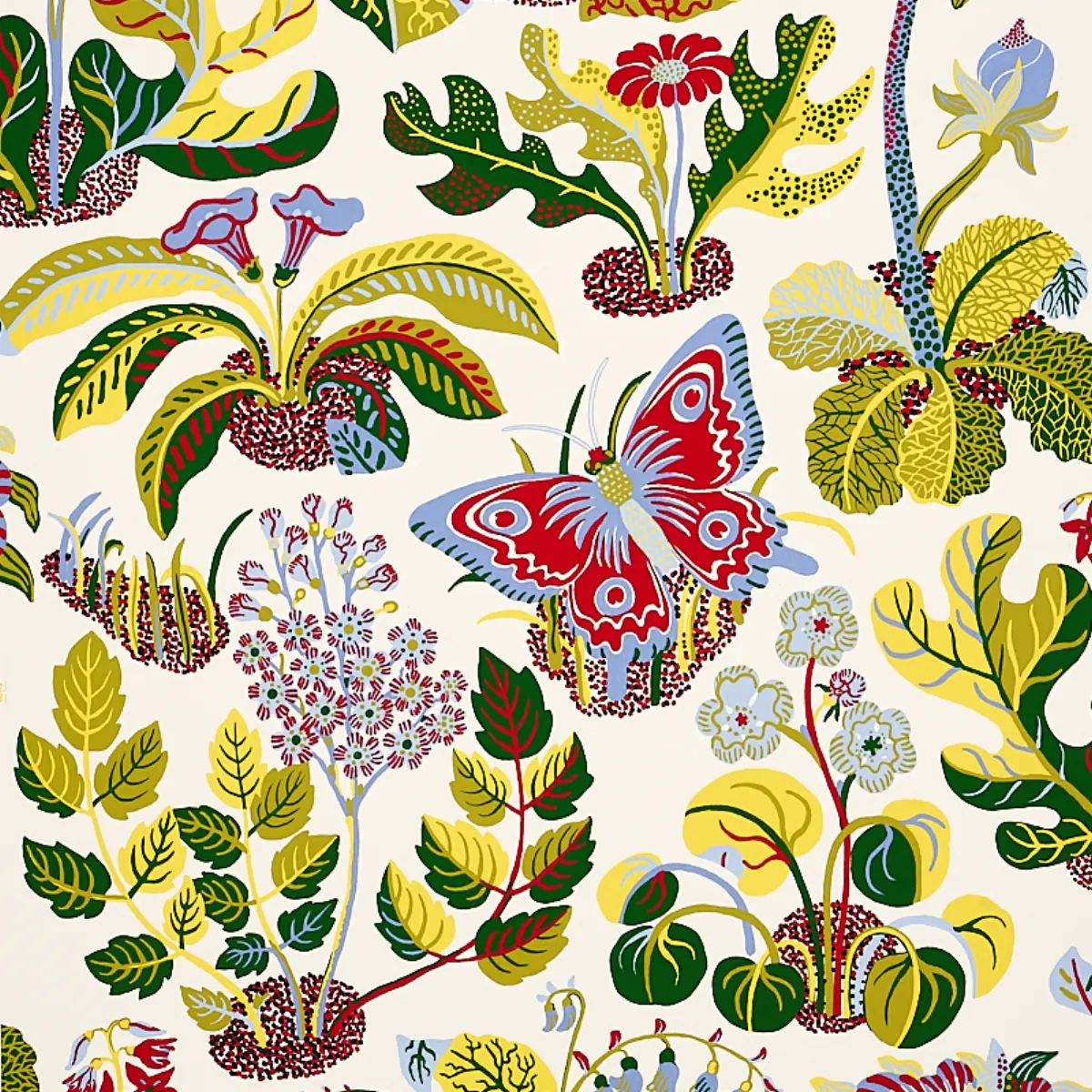 EXOTIC BUTTERFLY_ MULTI