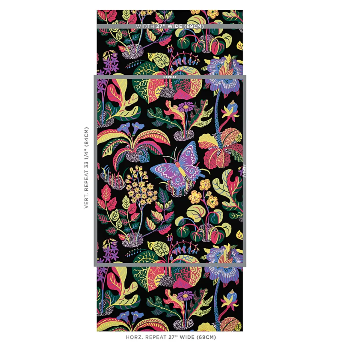 EXOTIC BUTTERFLY_ BLACK