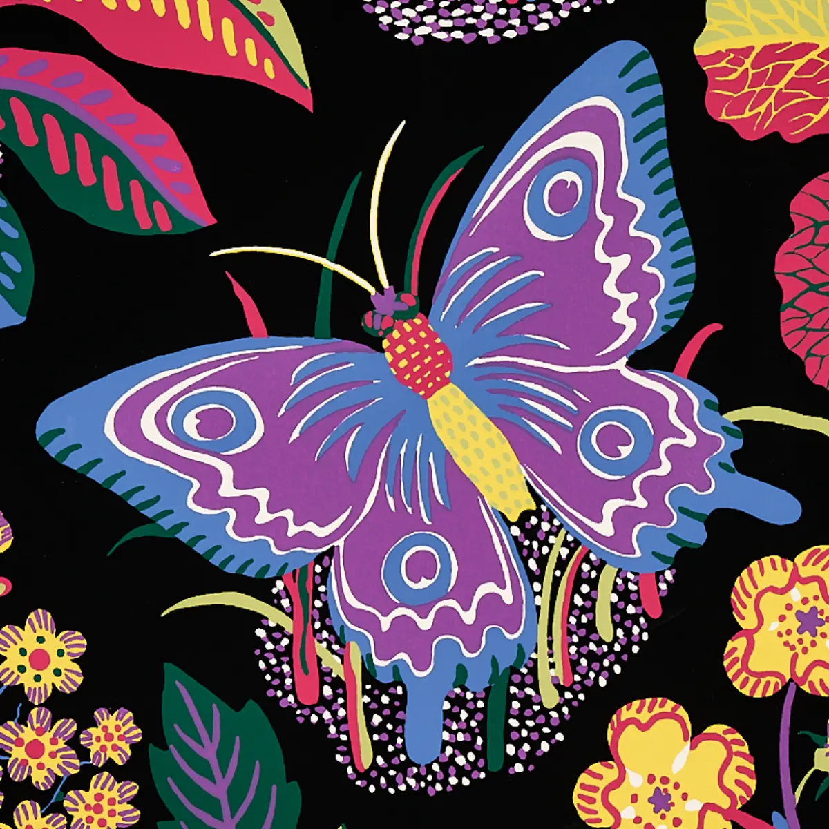 EXOTIC BUTTERFLY_ BLACK