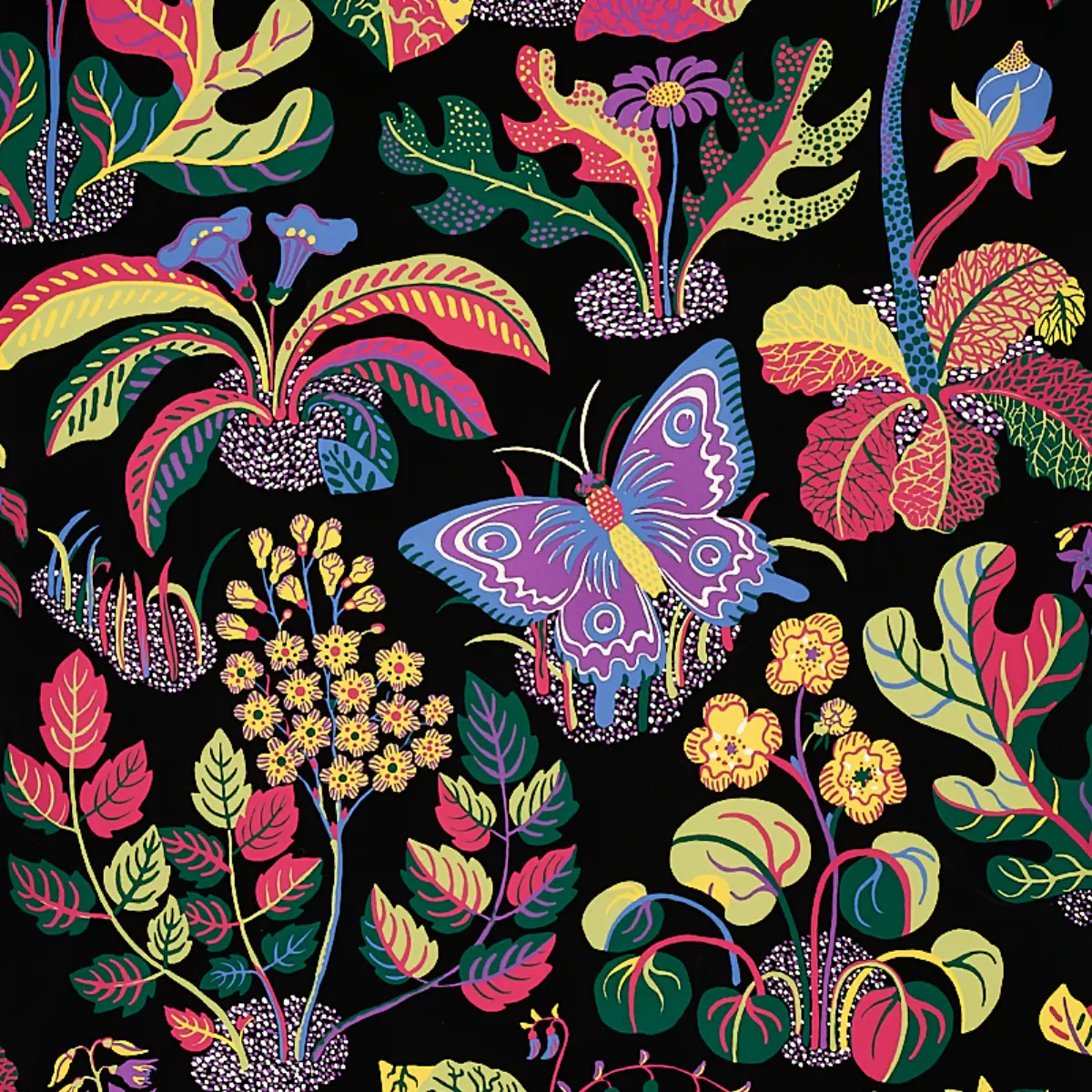 EXOTIC BUTTERFLY_ BLACK