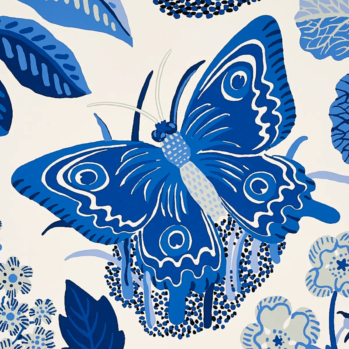EXOTIC BUTTERFLY_ MARINE