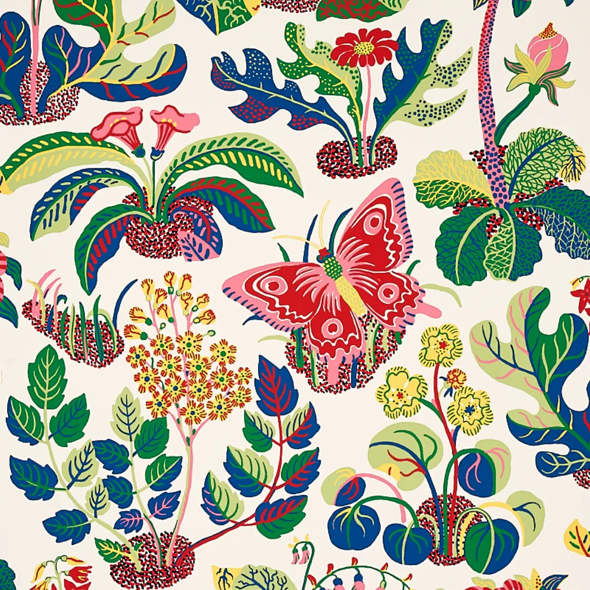 EXOTIC BUTTERFLY_ SPRING