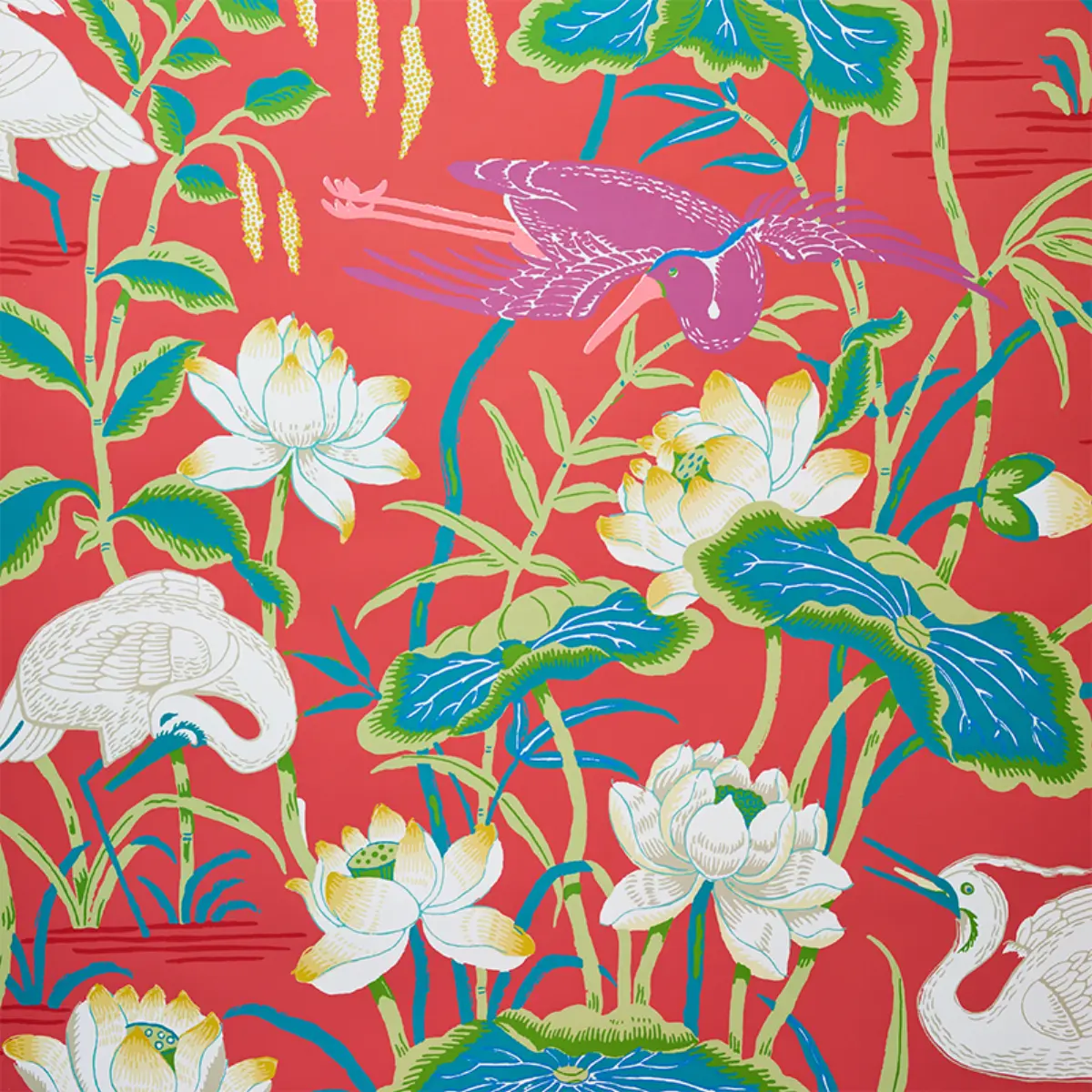 Lotus Garden_ RED