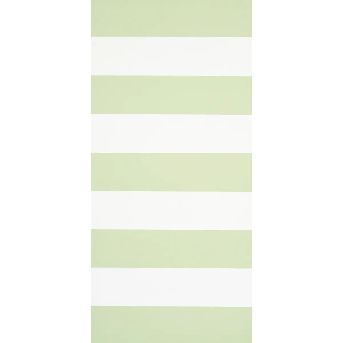 BAXTER STRIPE_ GREEN