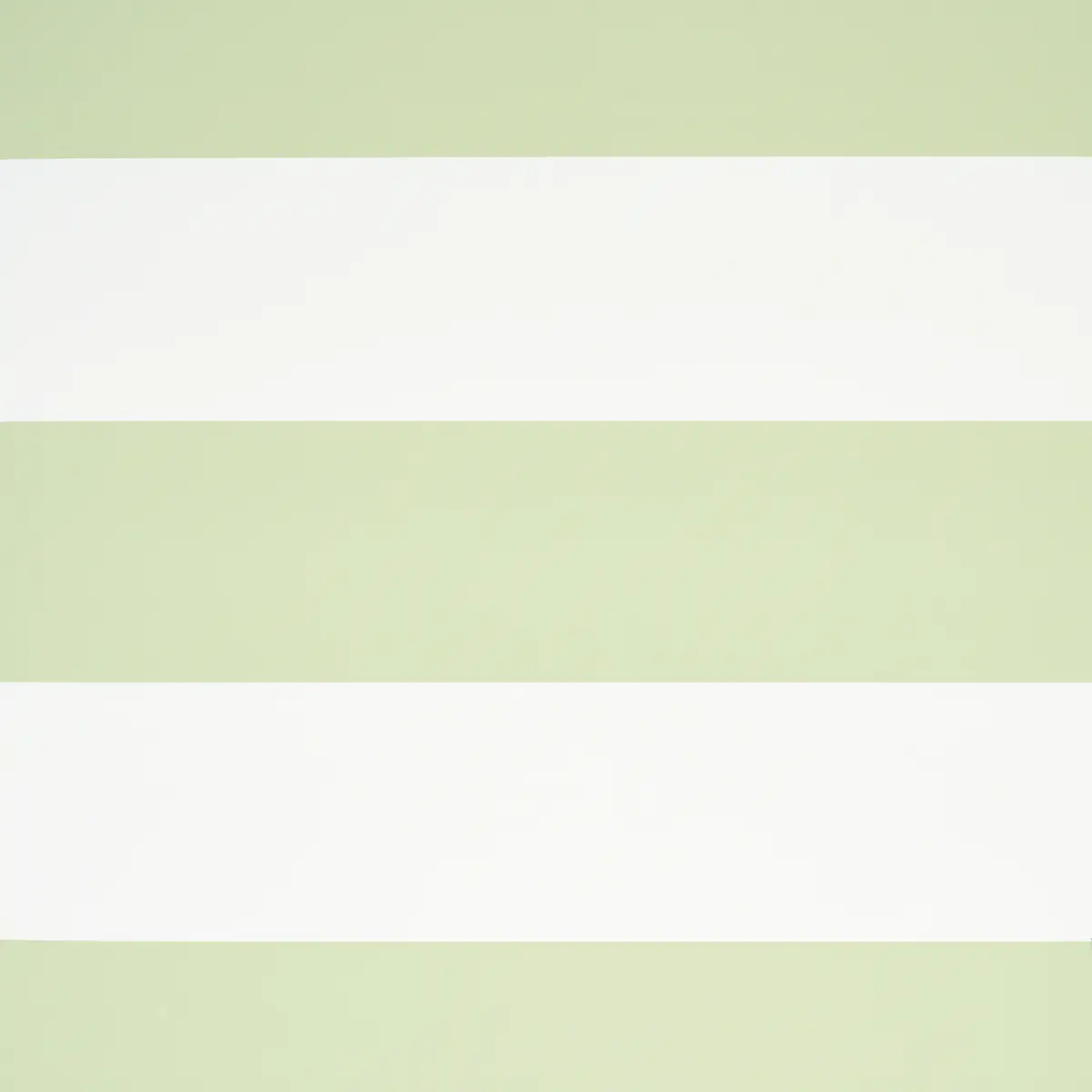 BAXTER STRIPE_ GREEN