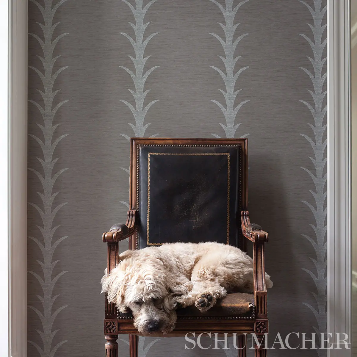 ACANTHUS STRIPE VINYL_ GREY