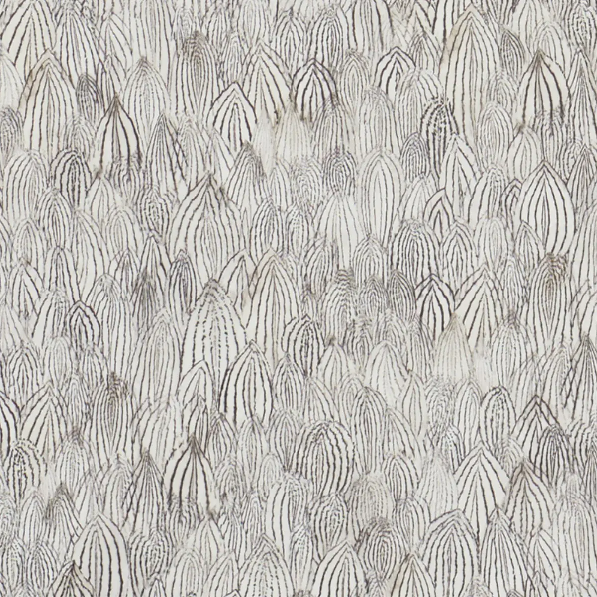 Feathers_ ZEBRA