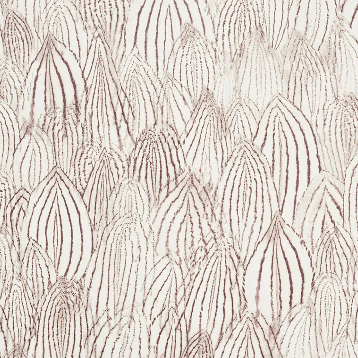FEATHERS_ BROWN