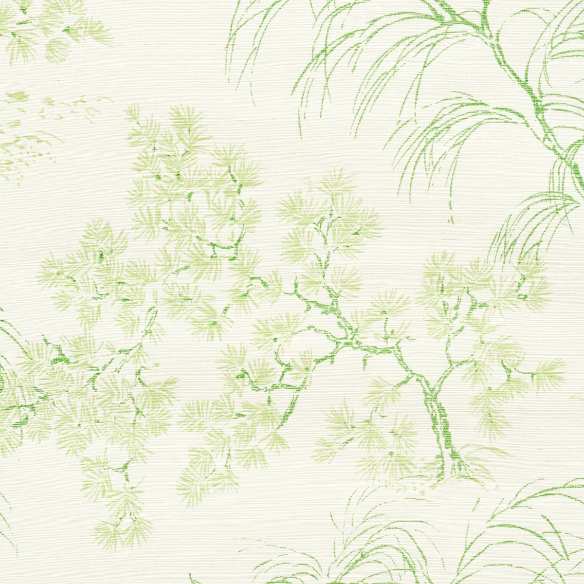 MORI SISAL_ LEAF