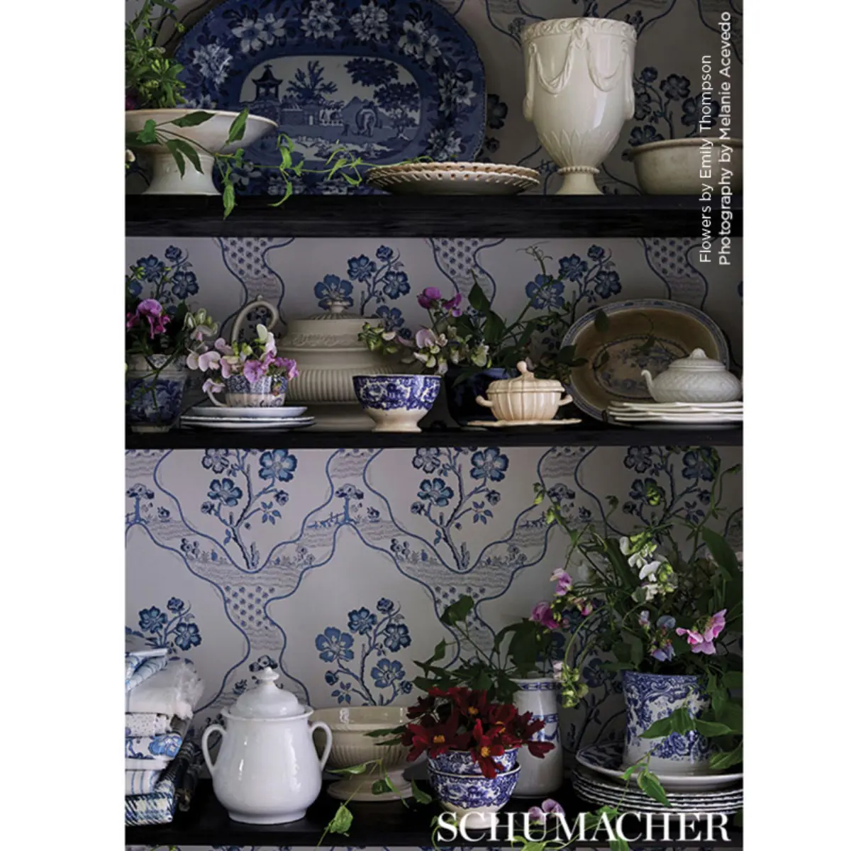 Marella_ DELFT