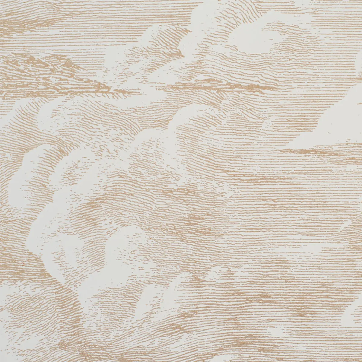 CLOUD TOILE_ GOLD