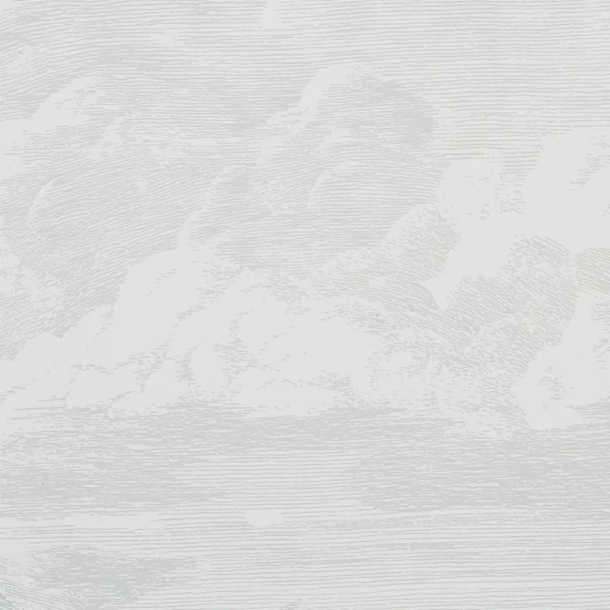 CLOUD TOILE_ QUARTZ