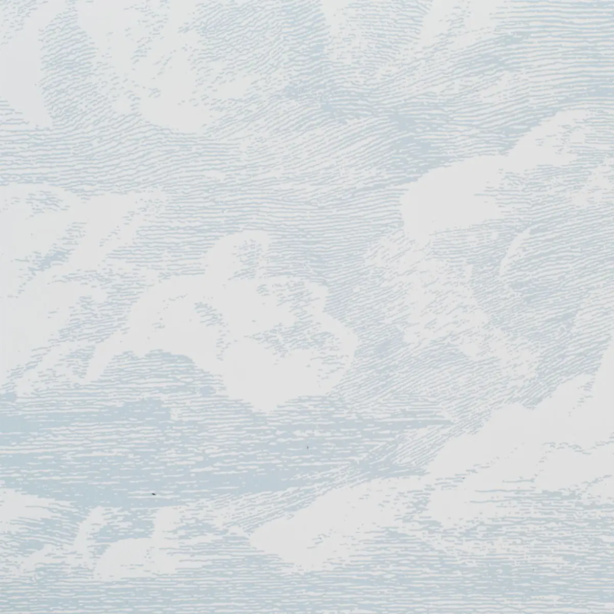 CLOUD TOILE_ MINERAL