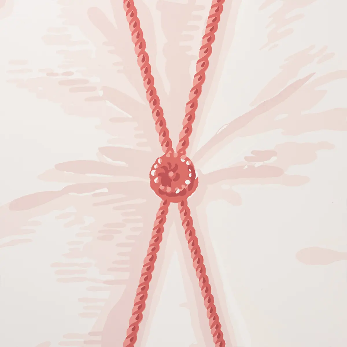 DRAPERY_ BLUSH