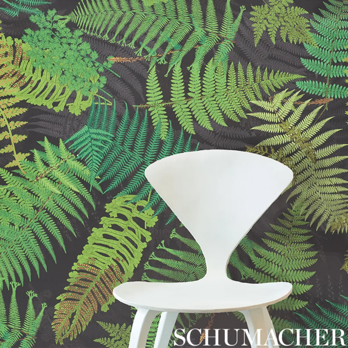 FERNARIUM_ IVORY & LEAF