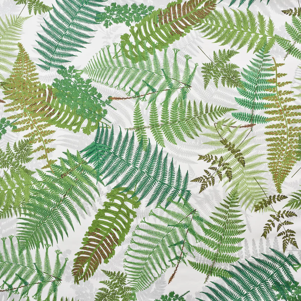 FERNARIUM_ IVORY & LEAF