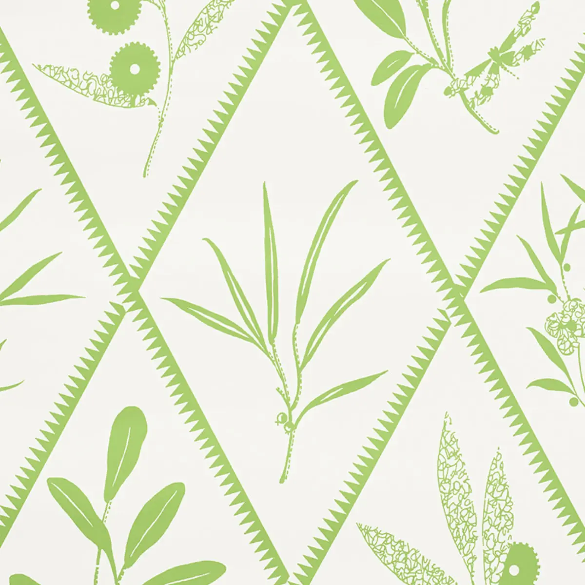 ENDIMIONE_ LEAF