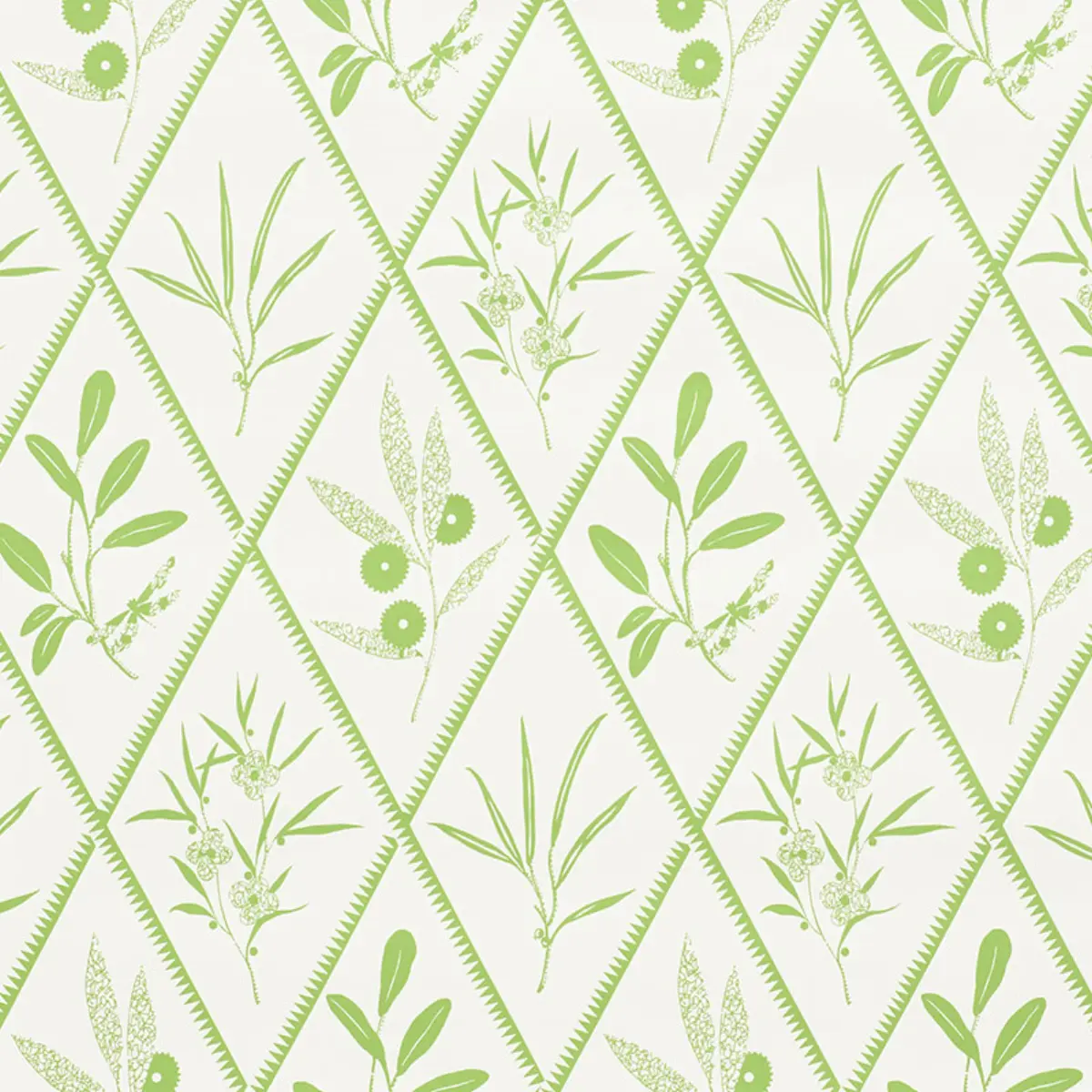 ENDIMIONE_ LEAF