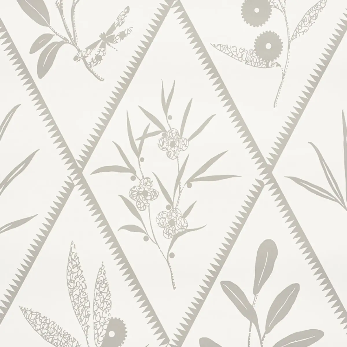 ENDIMIONE_ GREY