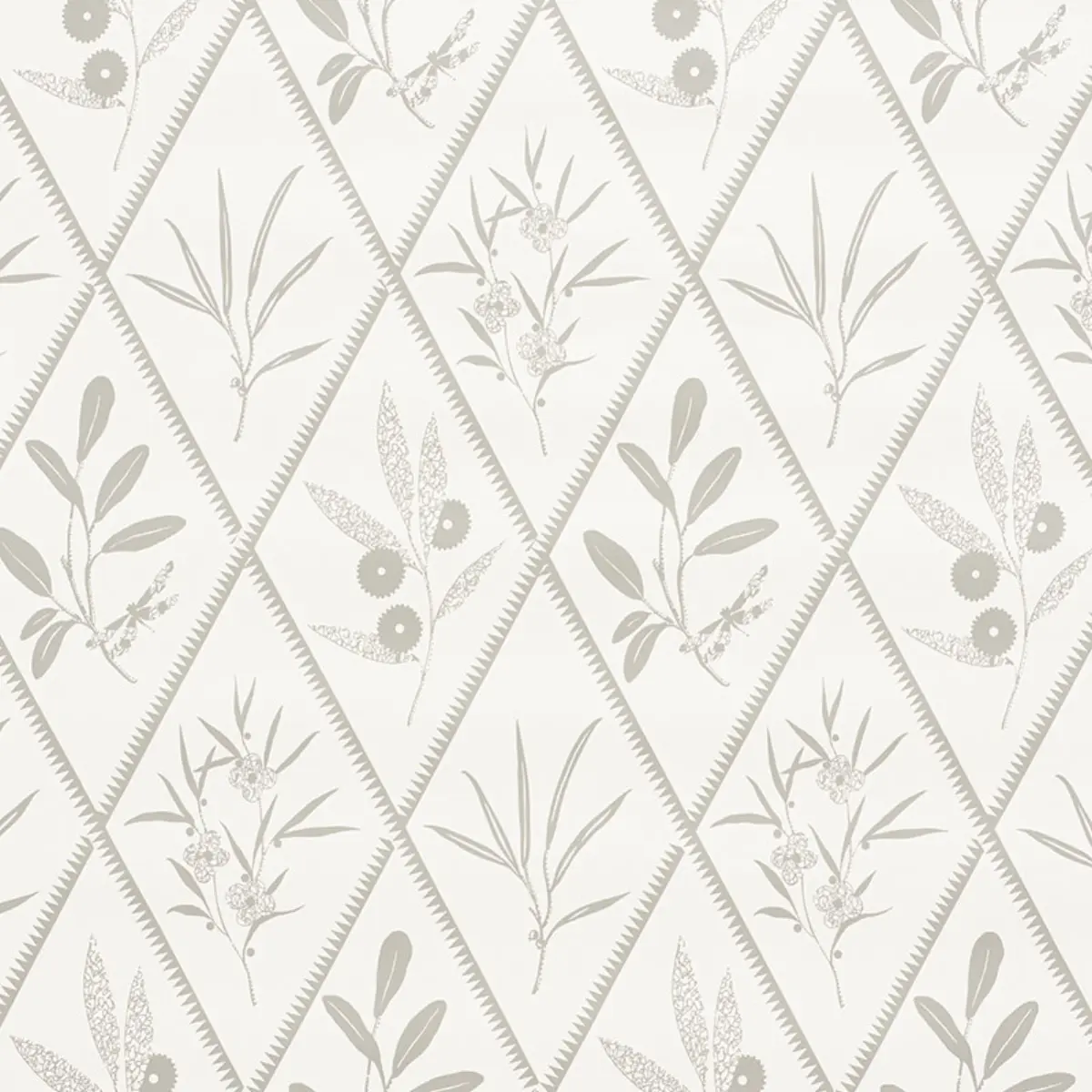 ENDIMIONE_ GREY