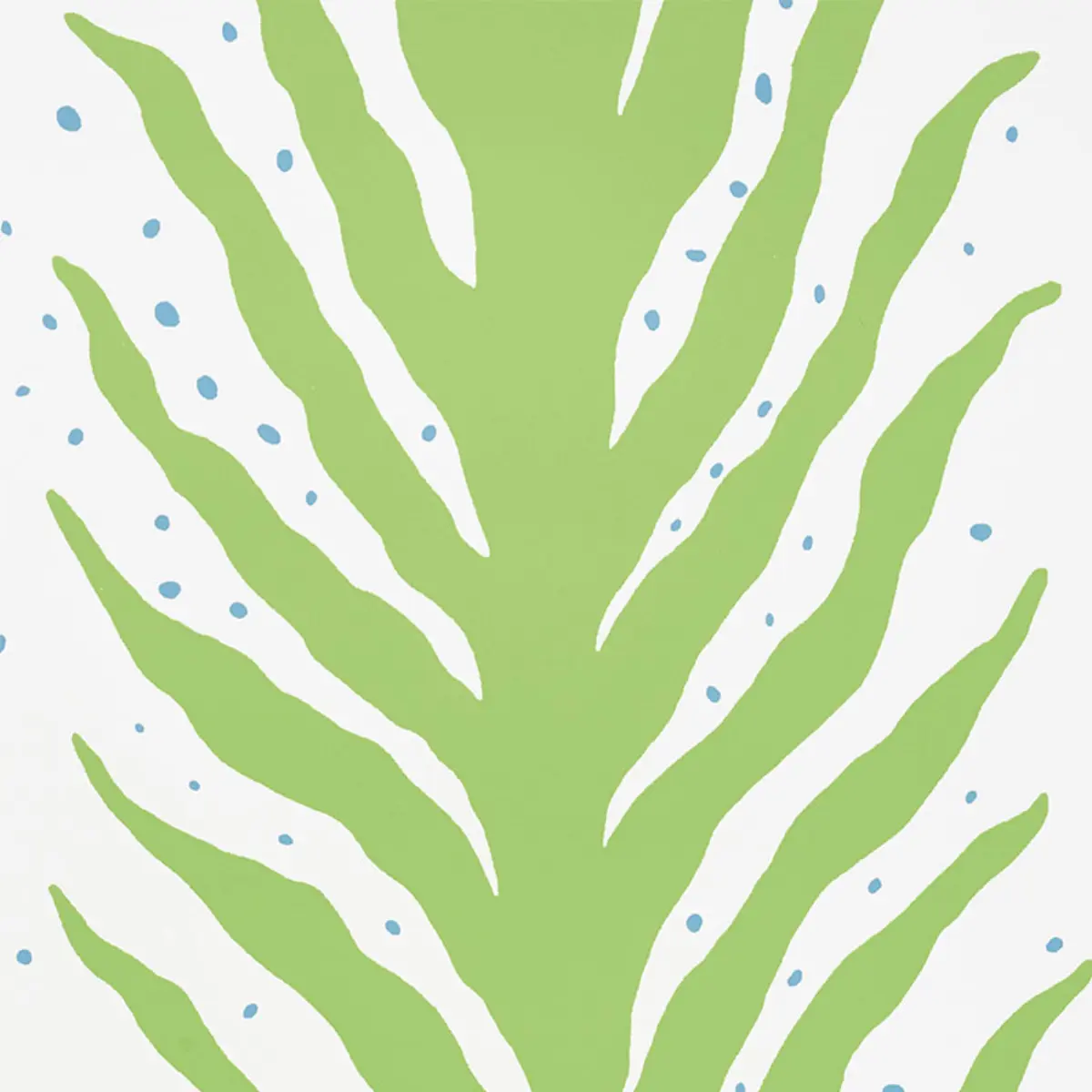 CREEPING FERN_ MOSS