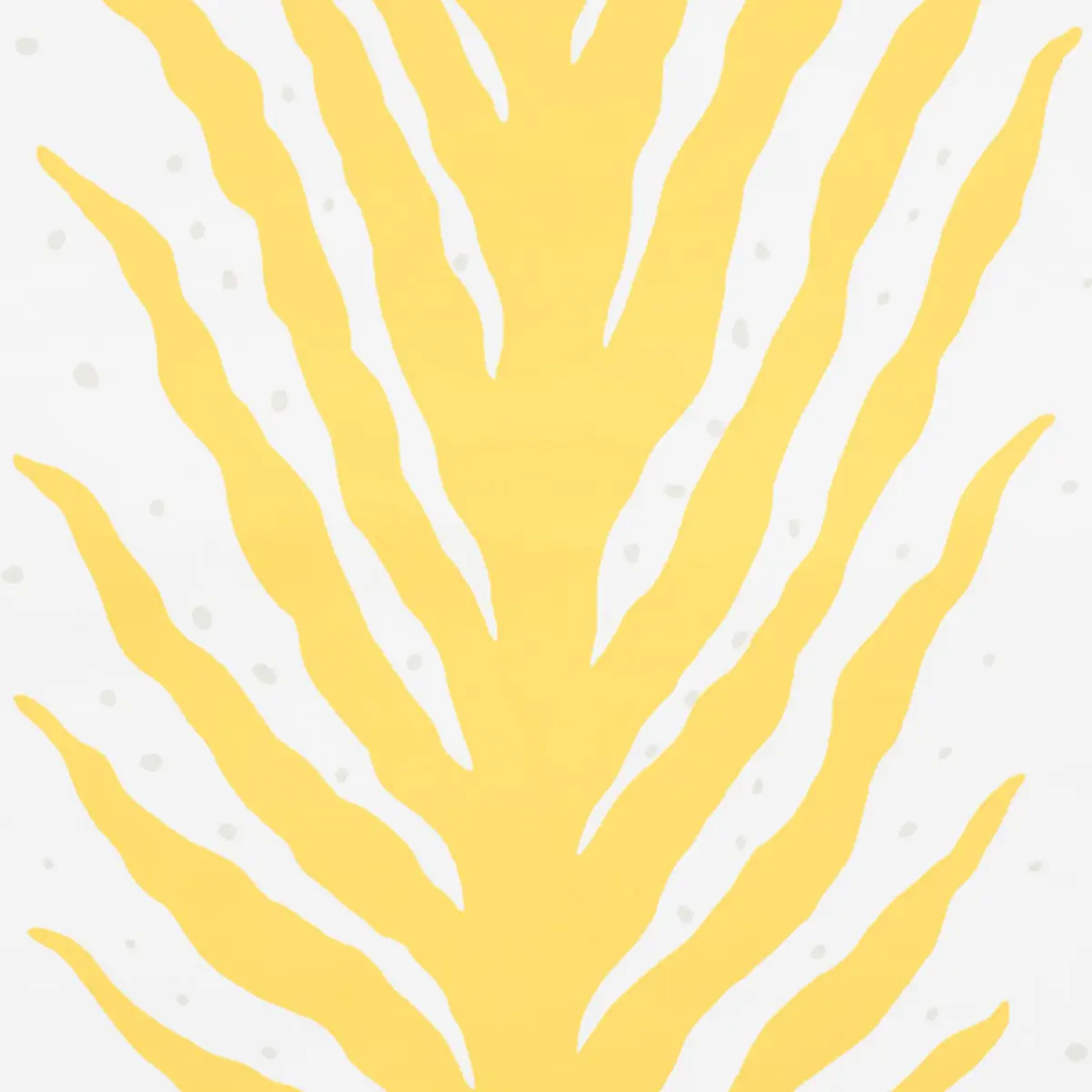 CREEPING FERN_ LEMONADE