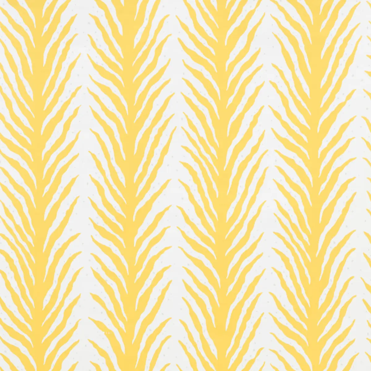 CREEPING FERN_ LEMONADE