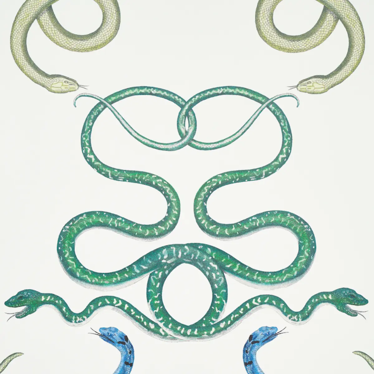 GIOVE_ EMERALD & SAPPHIRE