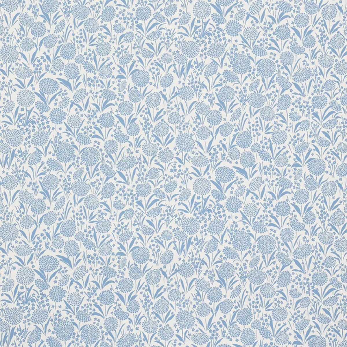 CHRYSANTHEMUM_ CHAMBRAY