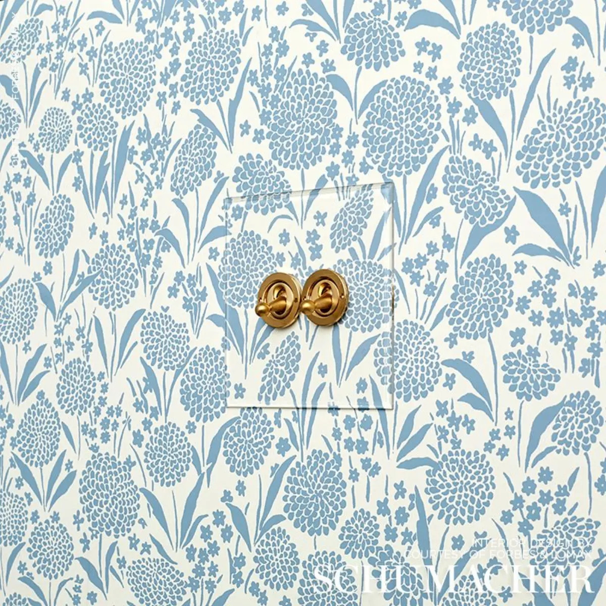 CHRYSANTHEMUM_ CHAMBRAY