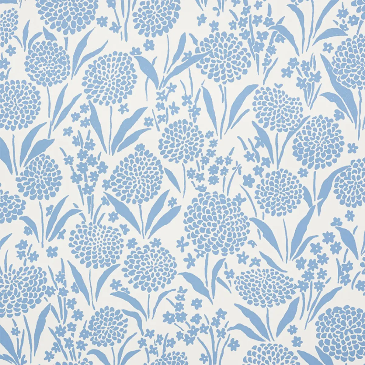 CHRYSANTHEMUM_ CHAMBRAY