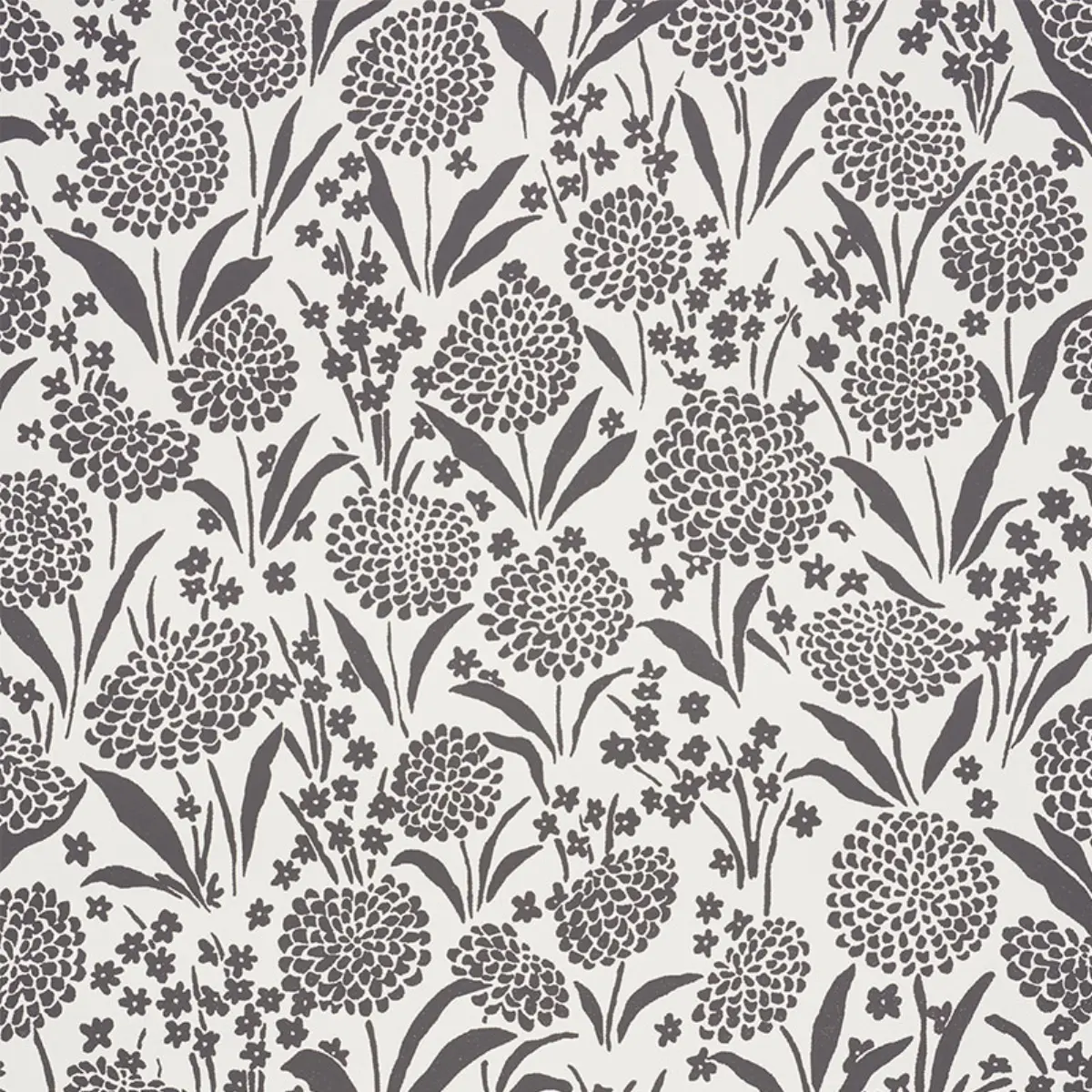 CHRYSANTHEMUM_ CARBON