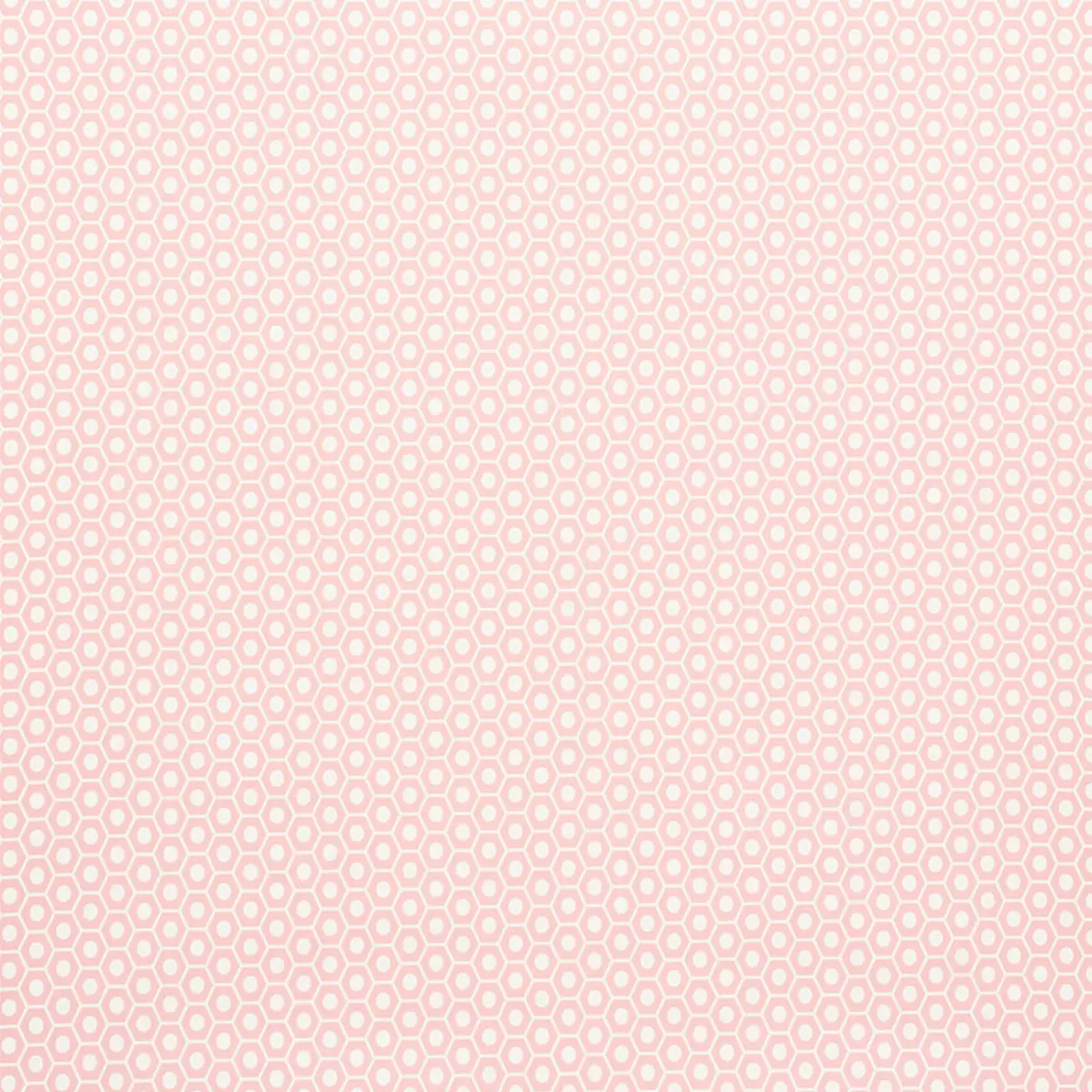 Queen B_ PINK