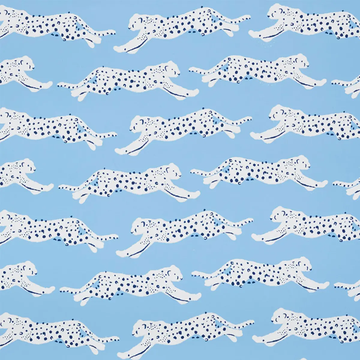 LEAPING LEOPARDS_ SKY