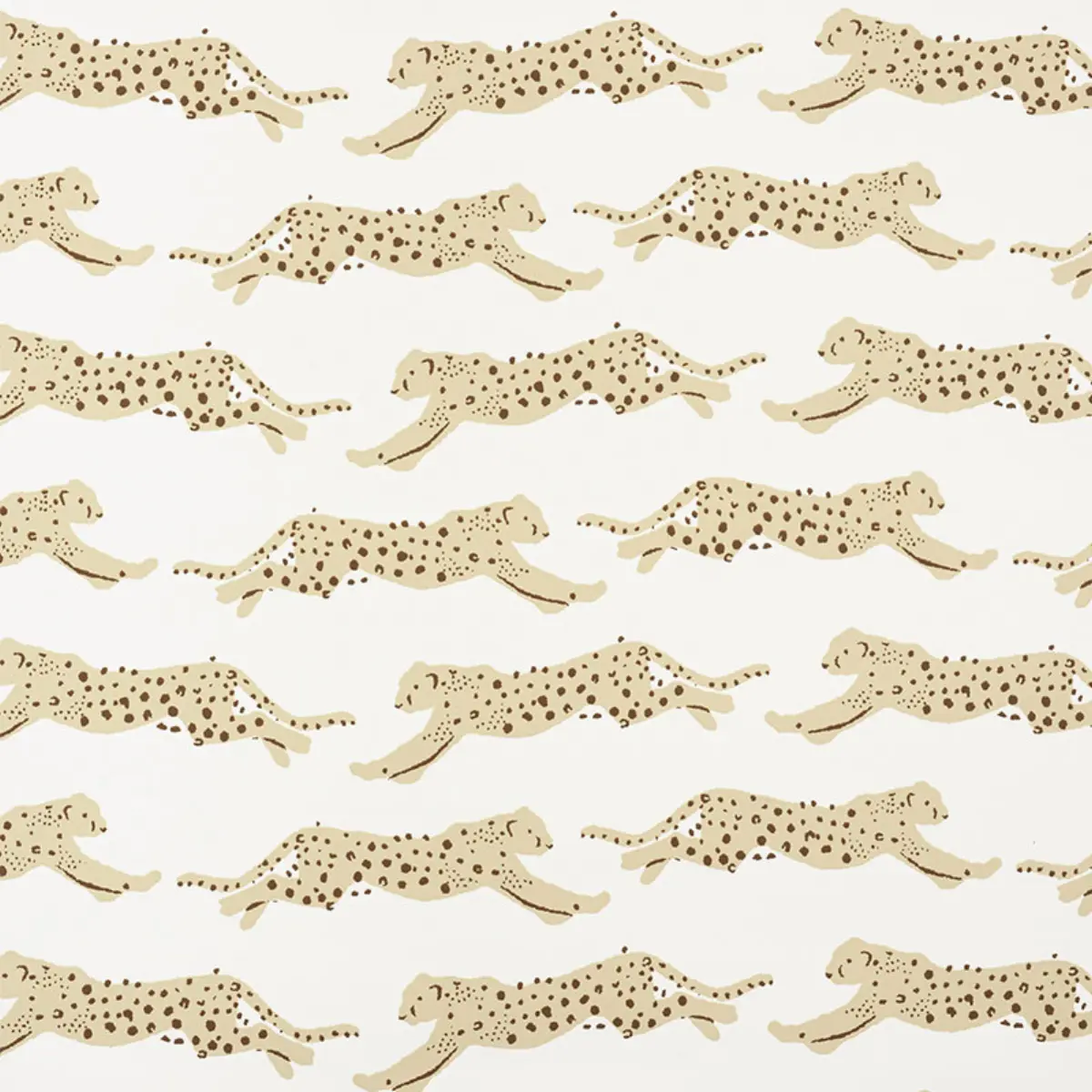 LEAPING LEOPARDS_ SAND