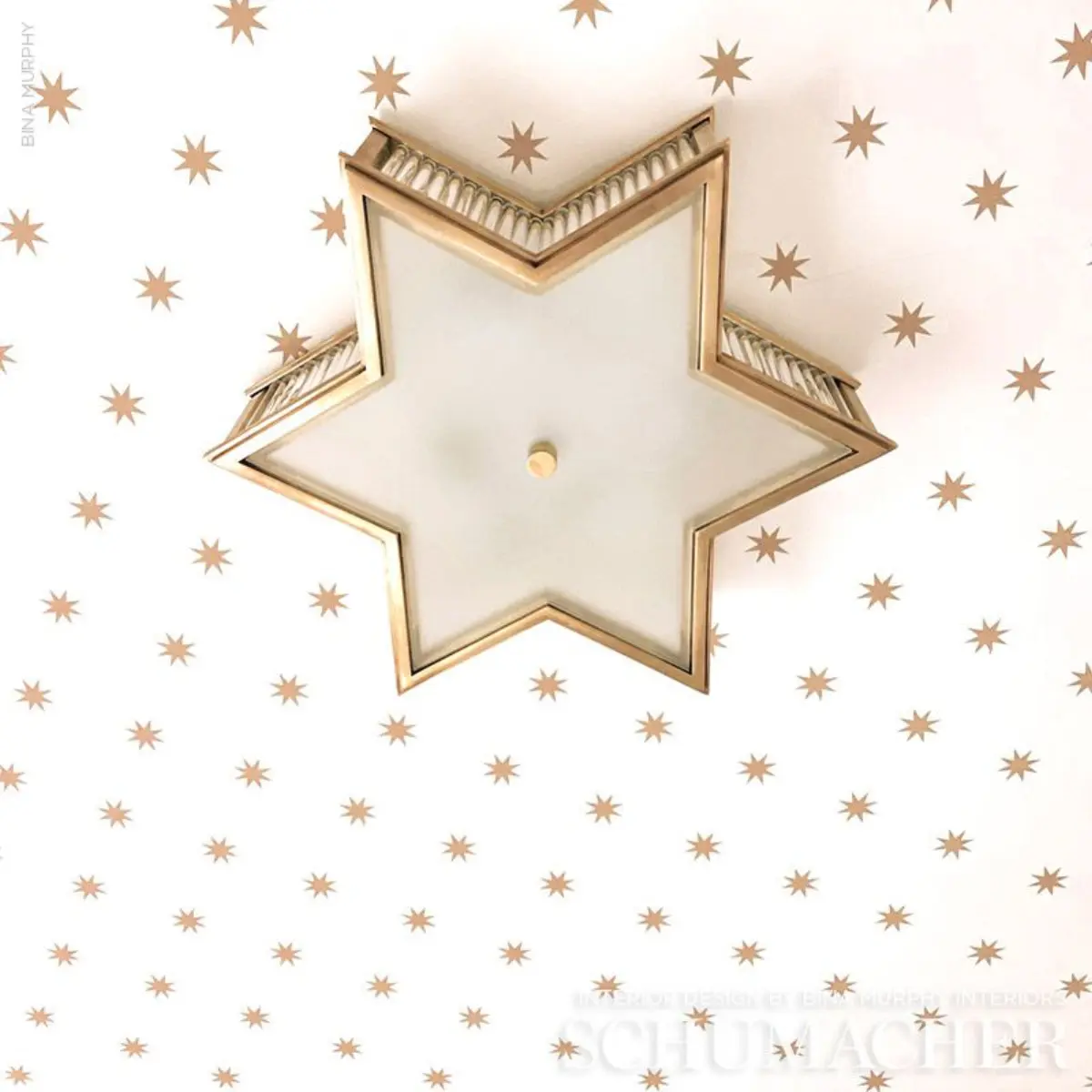 STARGAZE_ BRONZE