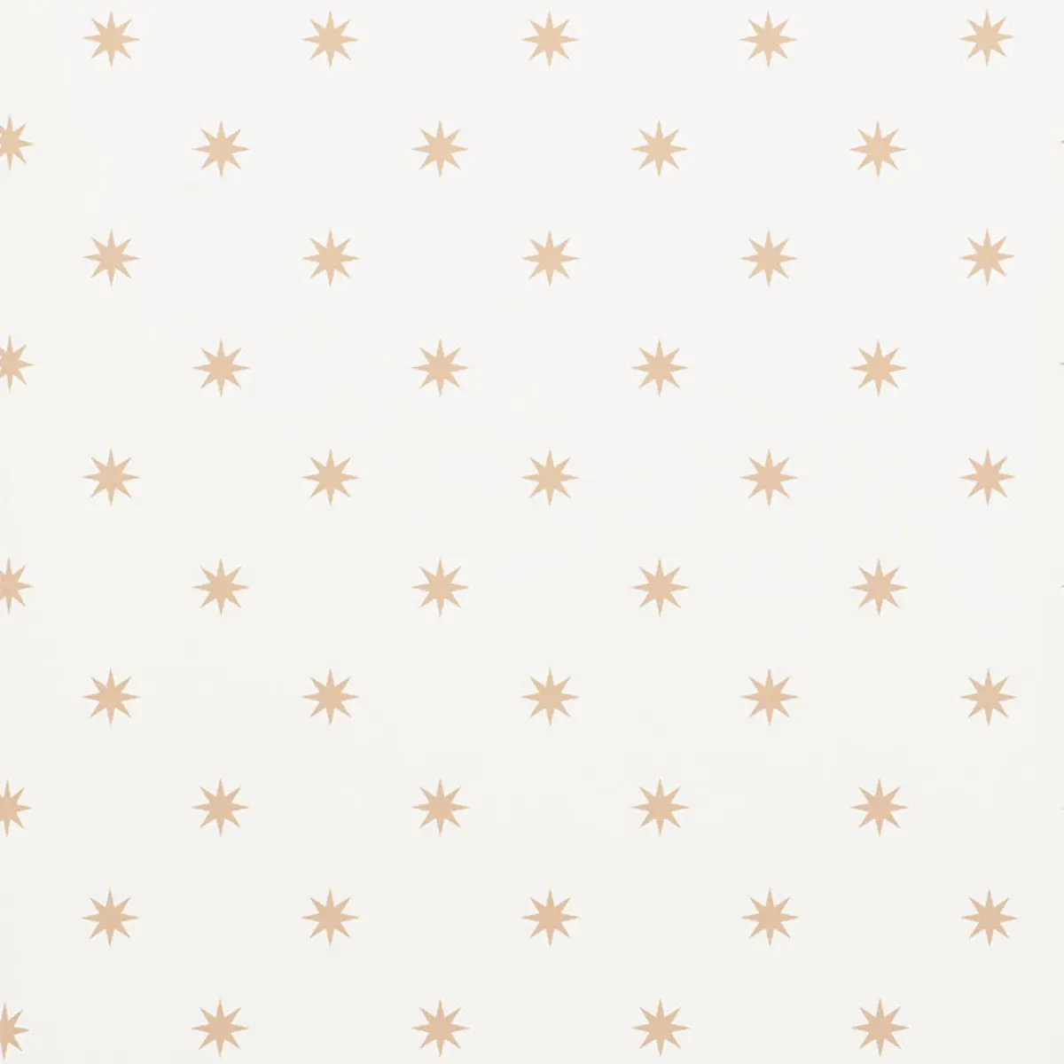STARGAZE_ BRONZE