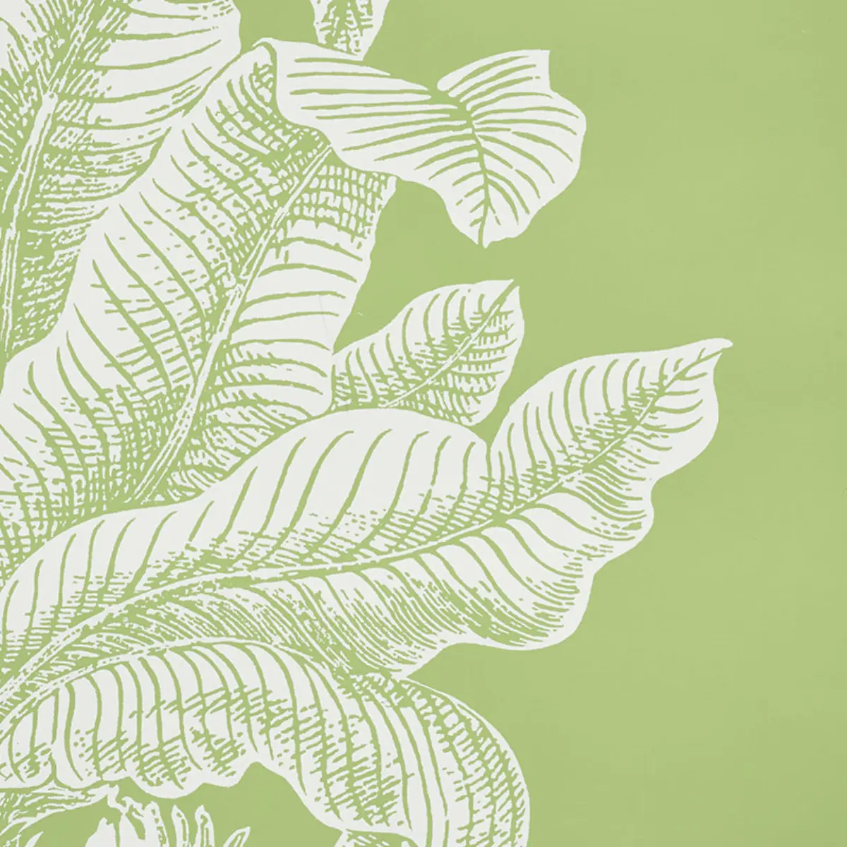 GRAND PALMS_ LEAF