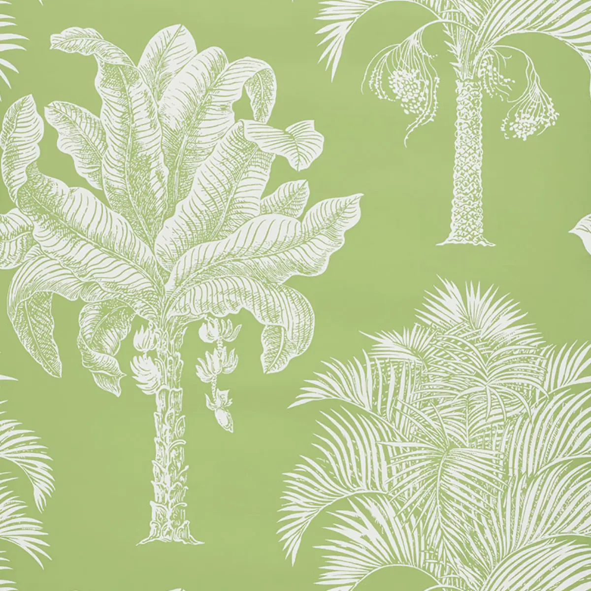 GRAND PALMS_ LEAF
