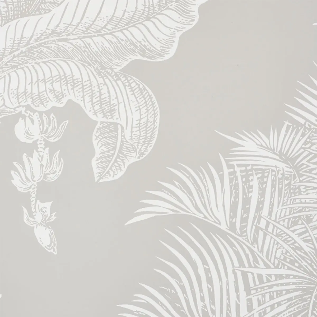 GRAND PALMS_ DOVE