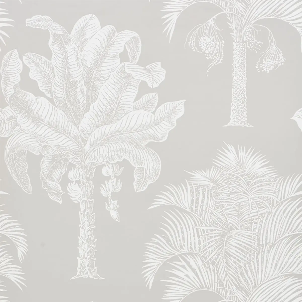 GRAND PALMS_ DOVE
