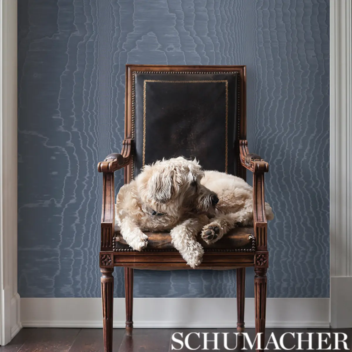MOIRÉ WALLCOVERING_ OCEAN