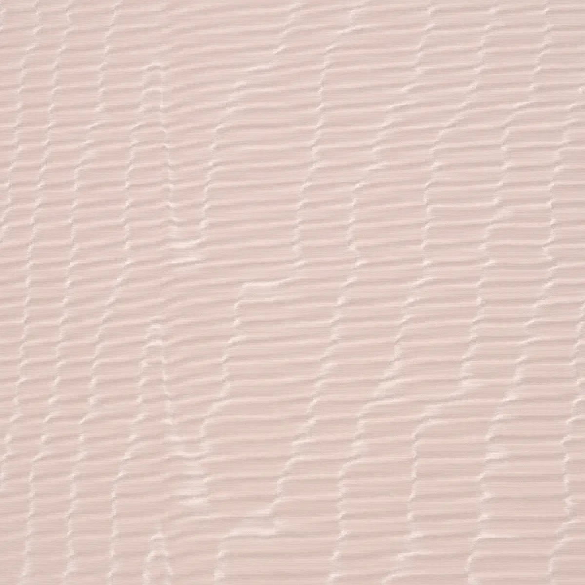 MOIRÉ WALLCOVERING_ ROSE