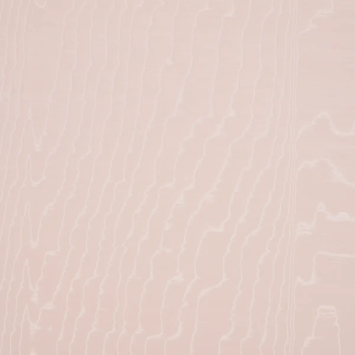 MOIRÉ WALLCOVERING_ ROSE