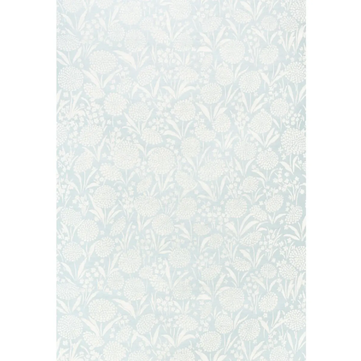 CHRYSANTHEMUM SISAL_ SKY