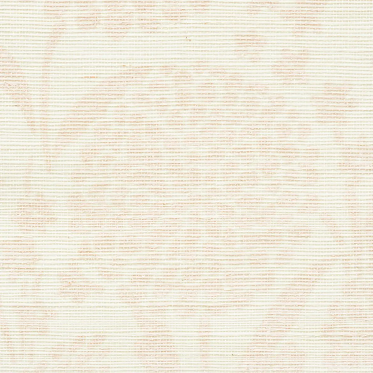 CHRYSANTHEMUM SISAL_ BLUSH