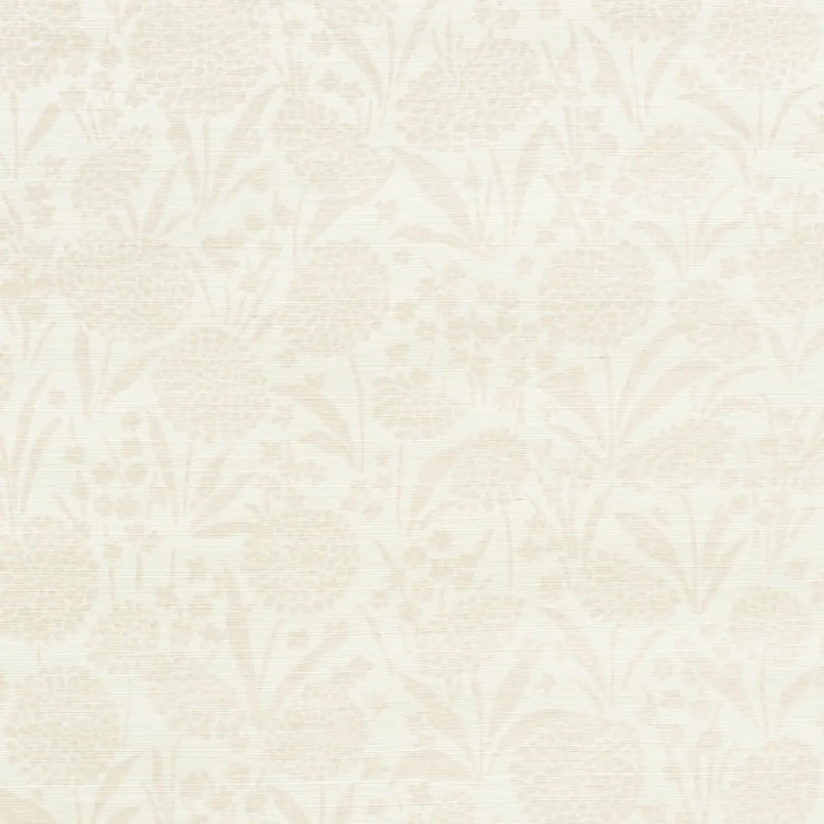 CHRYSANTHEMUM SISAL_ BLUSH